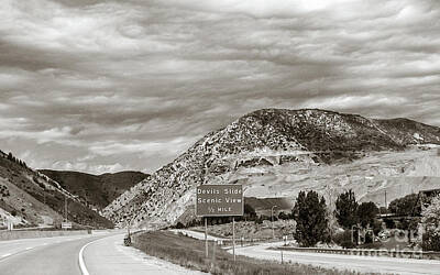 Lets Be Frank - Road Trip - Utah 025 by Alesia Kaye Stein