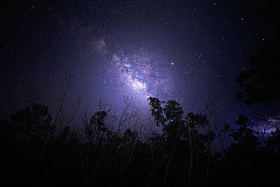 Travel Pics Photos - Roadside Milky Way  by Mark Andrew Thomas