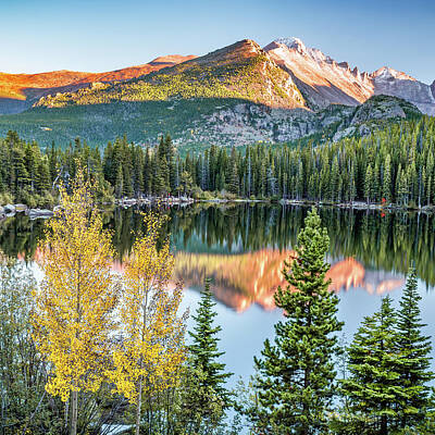 Recently Sold - Mammals Royalty Free Images - Rocky Mountain Autumn Reflections Of Longs Peak Royalty-Free Image by Gregory Ballos