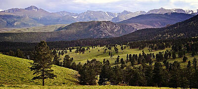 Vintage Camera - Rocky Mountain Meadow Colorado by Gaby Ethington