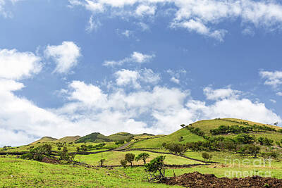 Latidude Image - Rolling Hills on Pico Island by Danaan Andrew