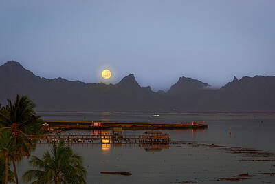 Beach Photo Rights Managed Images - Romantic Moon Over Moorea, French Polynesia Royalty-Free Image by Dr K X Xhori