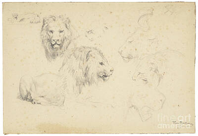 Wine Royalty-Free and Rights-Managed Images - Rosa Bonheur Bordeaux 1822 1899 Thomery Studies of lions by Artistic Rifki