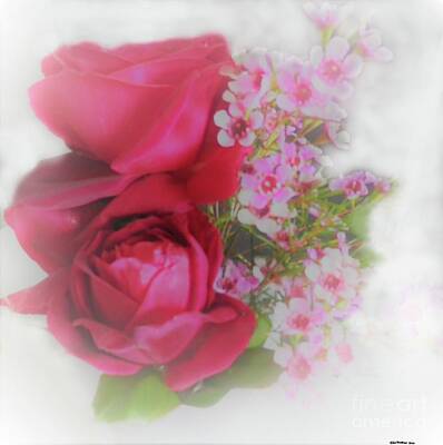 Roses Photo Royalty Free Images - Rose a day Royalty-Free Image by Julie Grimshaw