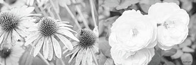 Roses Photo Royalty Free Images - Roses and Coneflowers Royalty-Free Image by Maria Faria Rodrigues