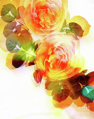 Roses Digital Art - Roses For You by Edmund Nagele FRPS