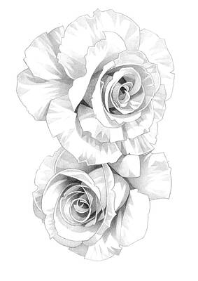 Roses Drawings - Roses Pencil Drawing 25 by Matthew Hack