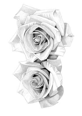 Roses Drawings - Roses Pencil Drawing 34 by Matthew Hack