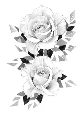 Roses Drawings - Roses Pencil Drawing 39 by Matthew Hack