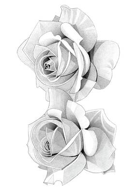 Roses Drawings - Roses Pencil Drawing 45 by Matthew Hack