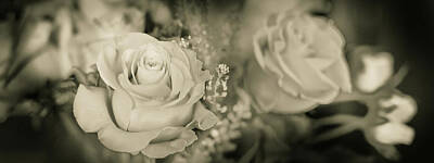 Roses Royalty Free Images - Roses Sepia 2 Royalty-Free Image by David Horn