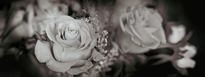 Roses Photo Royalty Free Images - Roses Sepia 3 Royalty-Free Image by David Horn