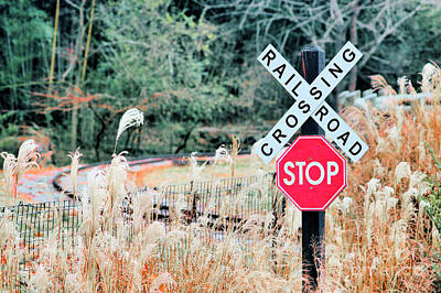 Kitchen Food And Drink Signs - R R Crossing Stop by Diann Fisher