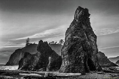Design Turnpike Vintage Farmouse - Ruby Beach bw by Mike Penney