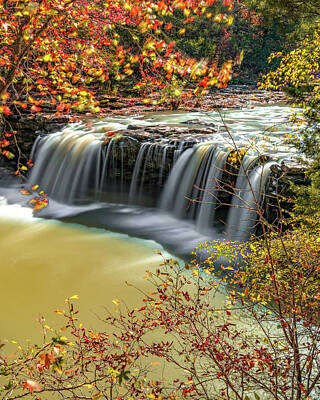 David Bowie Royalty Free Images - Rushing Waters At Falling Water Falls In Autumn Royalty-Free Image by Gregory Ballos