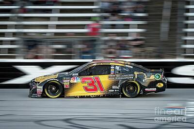 Sports Royalty Free Images - Ryan Newman Number 31 Royalty-Free Image by Paul Quinn