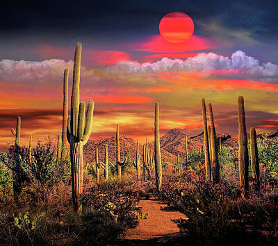 Randall Nyhof Royalty-Free and Rights-Managed Images - Saguaro Cactuses Under A Painted Sky by Randall Nyhof