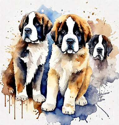 Laundry Room Signs - Saint Bernard Dogs Pets Puppy Cute Animals by Rhys Jacobson