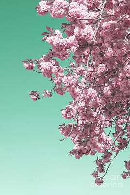 Abstract Flowers Rights Managed Images - Sakura blossom. Retro Royalty-Free Image by Elena Dijour