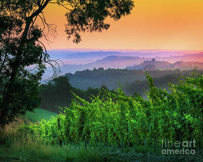 Wine Royalty-Free and Rights-Managed Images - San Gimignano Hills by Inge Johnsson