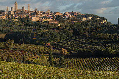 Landscapes Photos - San Gimignano - Italian Hill Town in Tuscany 4 by Jenny Rainbow