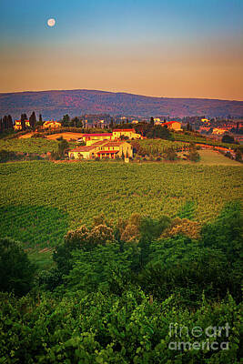 Recently Sold - Wine Royalty-Free and Rights-Managed Images - San Gimignano Vineyards by Inge Johnsson