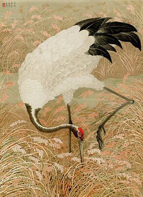 Quotes And Sayings - Sarus crane in rice field by Mango Art