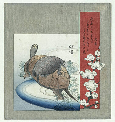 Mans Best Friend - Schildpadden, Totoya Hokkei, c. 1826 by Artistic Rifki