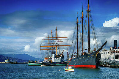Whimsical Flowers - Schooner C. A. Thayer and square rigged ship Balcutha by Steve Estvanik