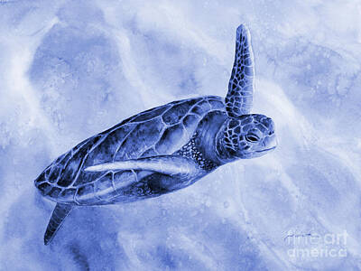 Royalty-Free and Rights-Managed Images - Sea Turtle 2 in Blue by Hailey E Herrera