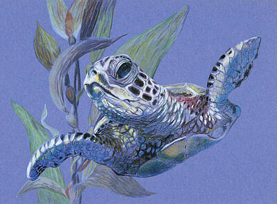 Reptiles Paintings - Sea Turtle and Seaweed by Masha Batkova