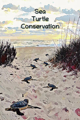 Reptiles Digital Art - Sea Turtle Conservation Poster by Gaby Ethington