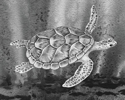 Reptiles Paintings - Sea Turtle Gray Watercolor Ocean Creature VI by Irina Sztukowski