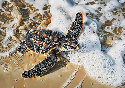 Reptiles Drawings - Sea Turtle Hatchlings The beginning of a perilous journey by Donato Williamson