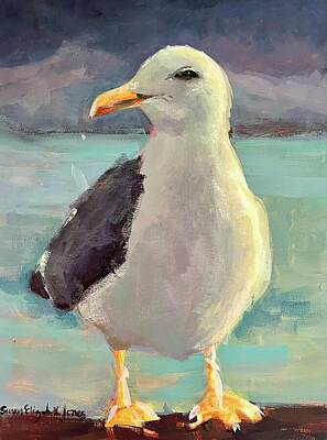 Beach Paintings - Seagull II by Susan Elizabeth Jones