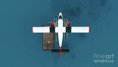 Farm Life Paintings Rob Moline Royalty Free Images - Seaplane in Maldivian lagoon, aerial top view Royalty-Free Image by Bernadetta Sarat