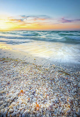 Recently Sold - Portraits Photos - Morning Seashells and Waves At Sanibel Island by Jordan Hill