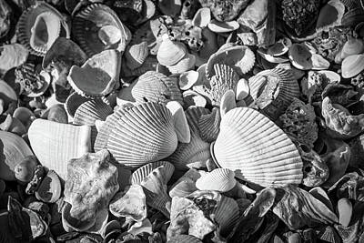 Wine Corks Royalty Free Images - Seashells By the Seashore, Tybee Island, Georgia Royalty-Free Image by Theresa Fairchild