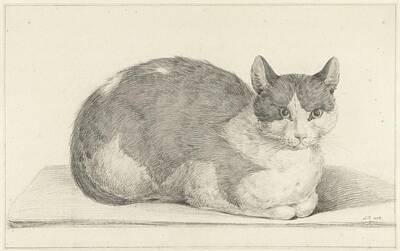 Mother And Child Animals - Seated cat, to the right, Jean Bernard, 1798 by MotionAge Designs