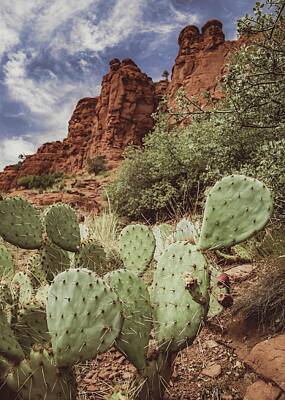 Clouds Royalty Free Images - Sedona Red Rock Cactus Royalty-Free Image by Gene Graff