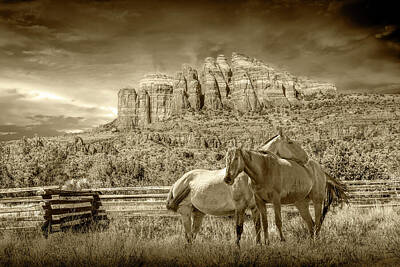 Randall Nyhof Royalty-Free and Rights-Managed Images - Sepia Tone of Western Horses in a Fenced in Pasture among the Re by Randall Nyhof