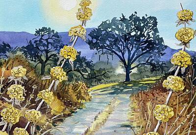 Road Trip - September morning light by Luisa Millicent