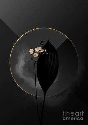 Roses Mixed Media - Shadowy Black Bulltongue Arrowhead Botanical Art with Gold by Holy Rock Design