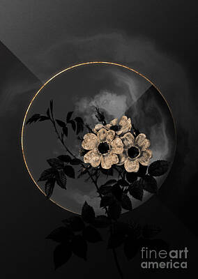 Roses Mixed Media Royalty Free Images - Shadowy Black White Rosebush Botanical Art with Gold Royalty-Free Image by Holy Rock Design