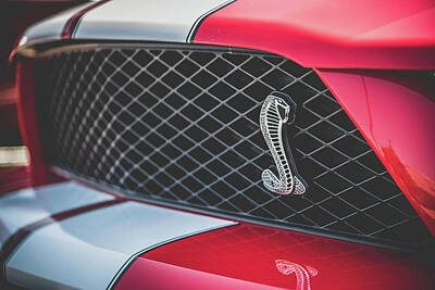 Reptiles Photos - Shelby Grill by Christopher Thomas