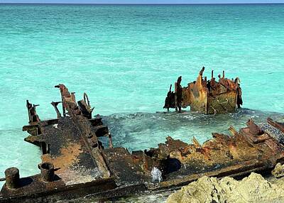 Purely Purple - Shipwreck Erosion of the Gallant Lady 2 by Barbie Corbett-Newmin