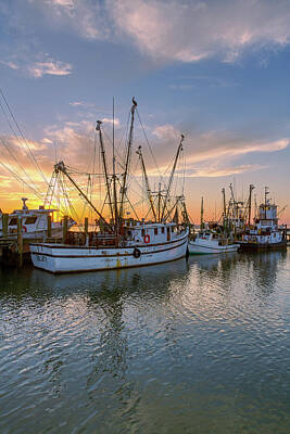 Gifts For Dad - Shrimping Life - Port Royal SC 4 by Steve Rich