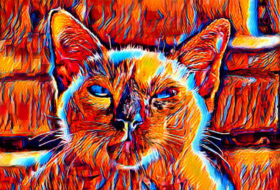 Disney - Siamese cat face in the sun - colorful dark orange, red and cyan by Nicko Prints