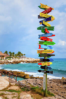 Dainty Daisies - Signpost by H F