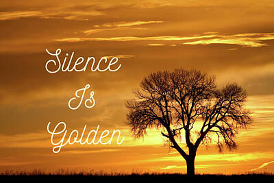 James Bo Insogna Royalty-Free and Rights-Managed Images - Silence Is Golden by James BO Insogna